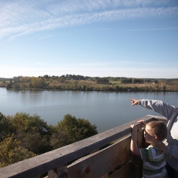 Les oiseaux du lac de la Prade