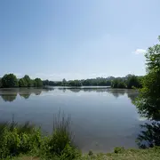Les oiseaux du marais de Blonville-Villers