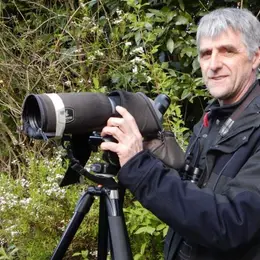 Les oiseaux du marais et des bois