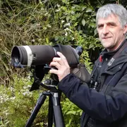 Les oiseaux du marais et des bois