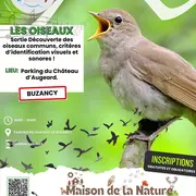 Les oiseaux, reconnaissance et chants