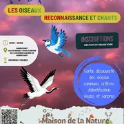 Les oiseaux, reconnaissance et chants
