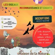 Les oiseaux, reconnaissance et chants