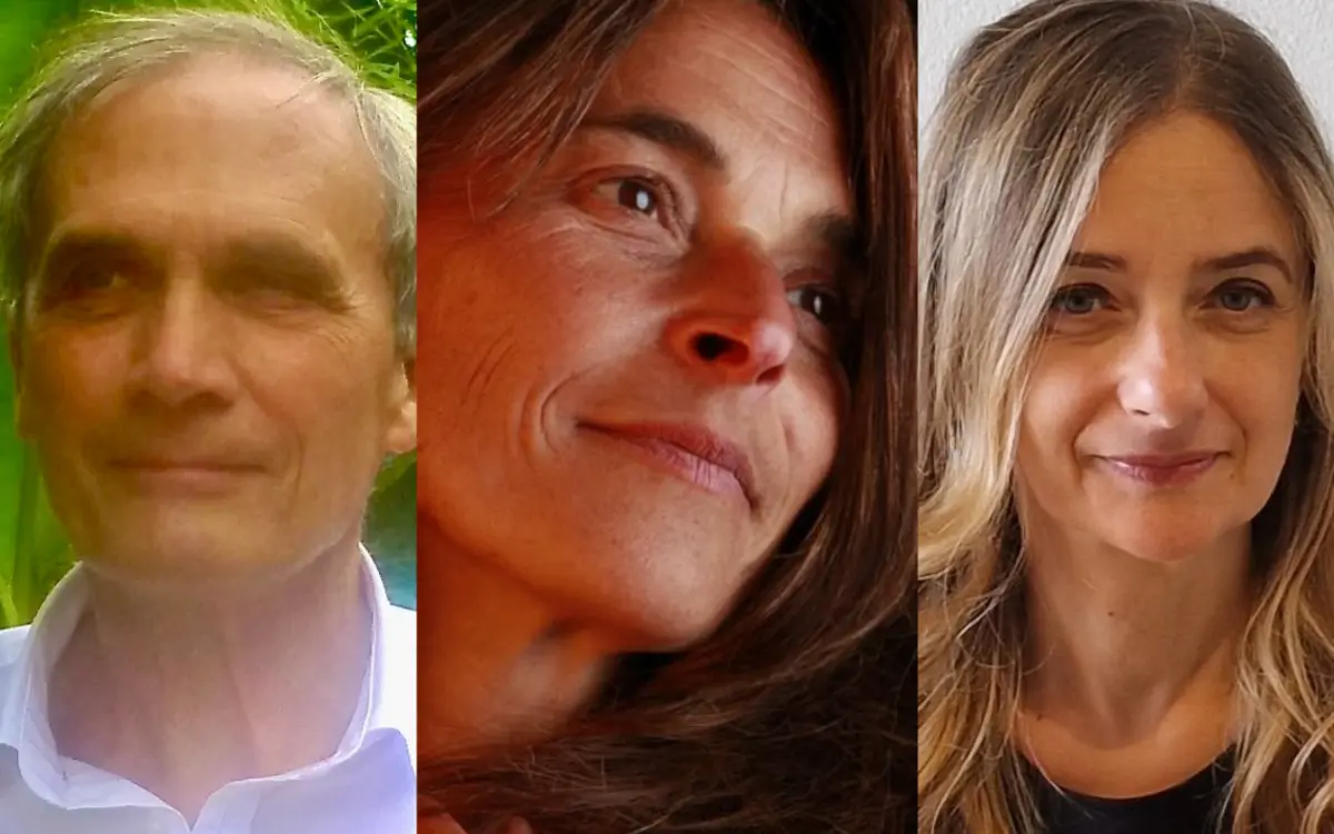 Les oubliés de l’Occupation : la psychiatrie sous le régime de Vichy