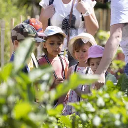 Les P’tits Ateliers De La Biodiversite