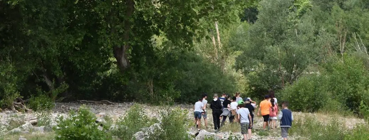 Les P’tits Curieux Au Bord Du Fleuve