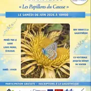 Les papillons du Causse : Randonnée Natura 2000