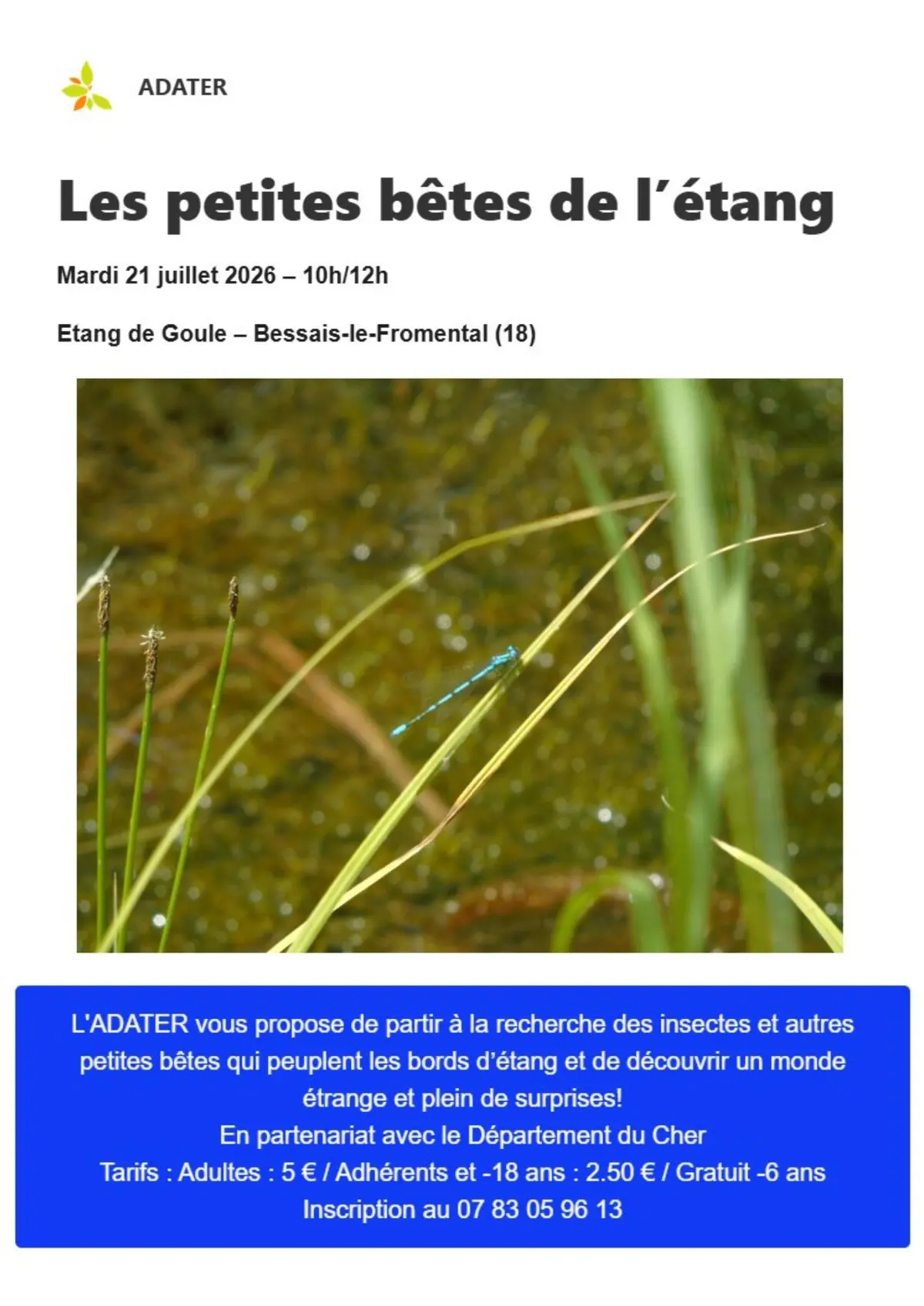 Les Petites Bêtes de l'étang