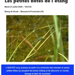 Les Petites Bêtes de l'étang