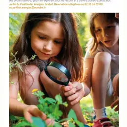 Les petites bêtes du jardin