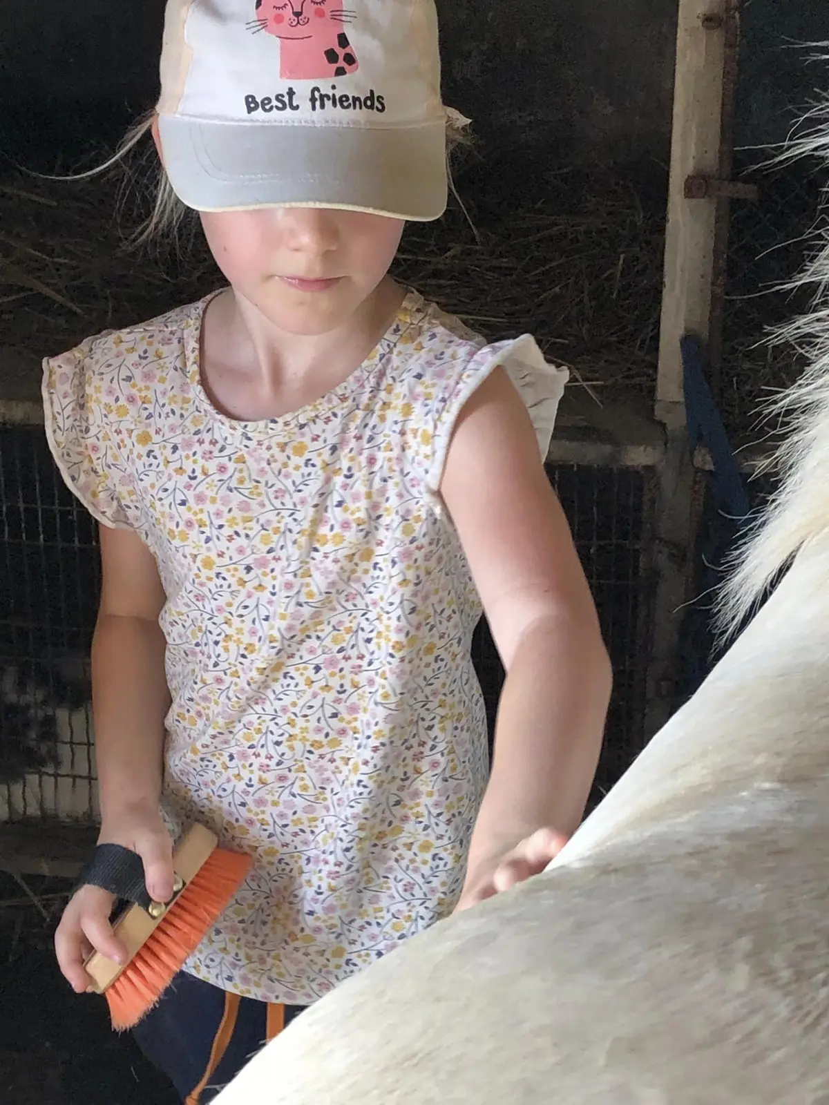 Les « petits Fermiers » au fil des saisons
