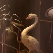 Les Petits jeux d’Aliçe