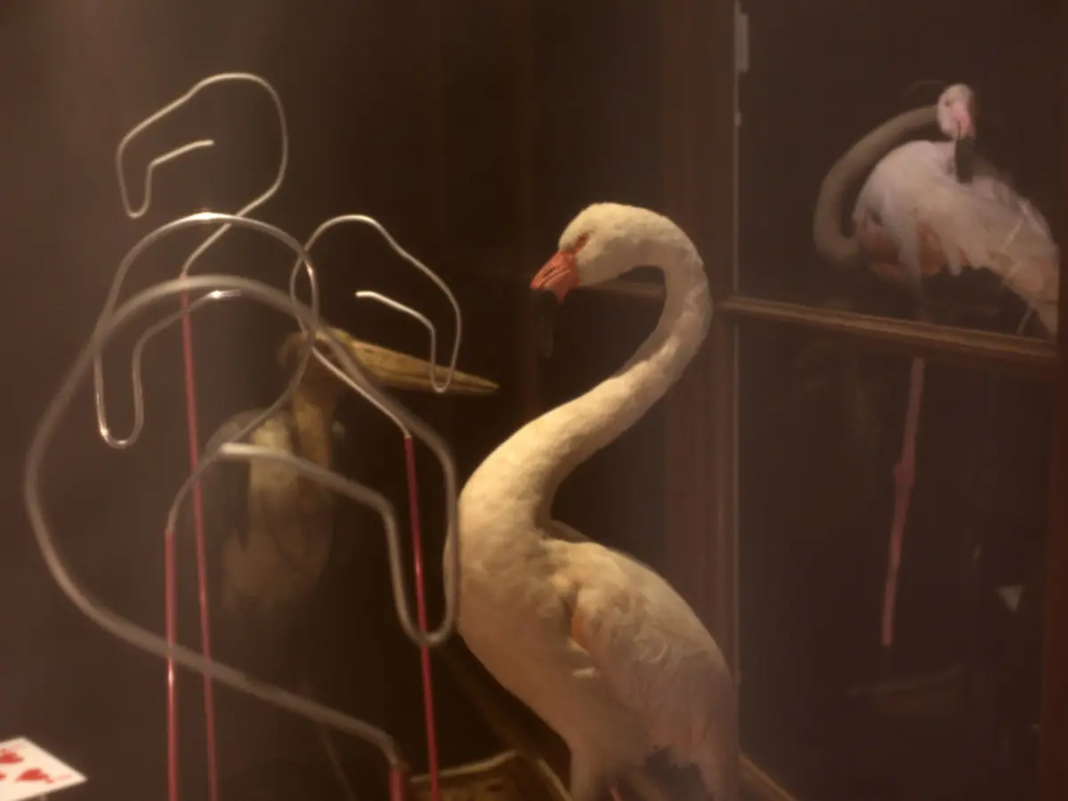 Les Petits jeux d’Aliçe (vacances d'hiver)