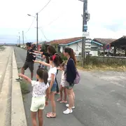 Les petits secrets de l'huître