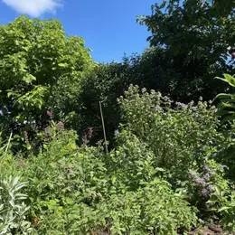 Les plantes au-delà du regard, la visite guidée - Rendez-vous aux jardins