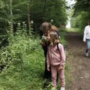 Les plantes médicinales