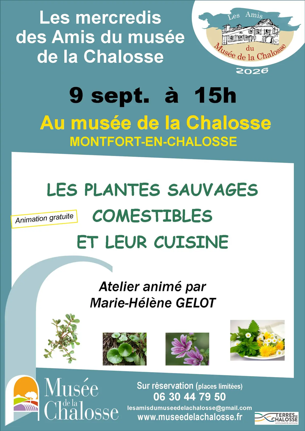 Les plantes sauvages comestibles et leur cuisine
