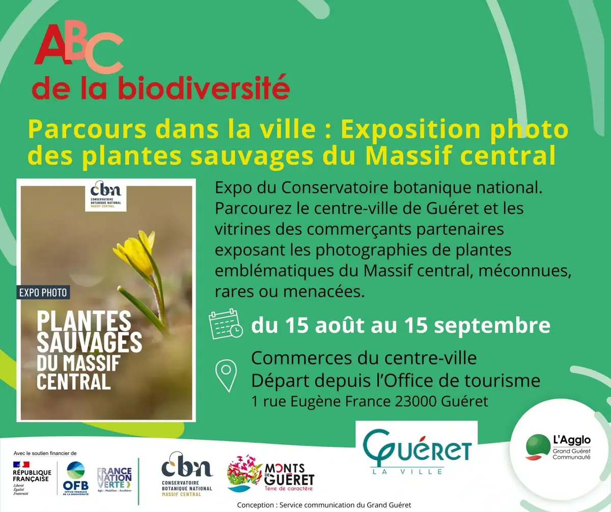 Les plantes sauvages du Massif Central