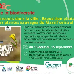 Les plantes sauvages du Massif Central