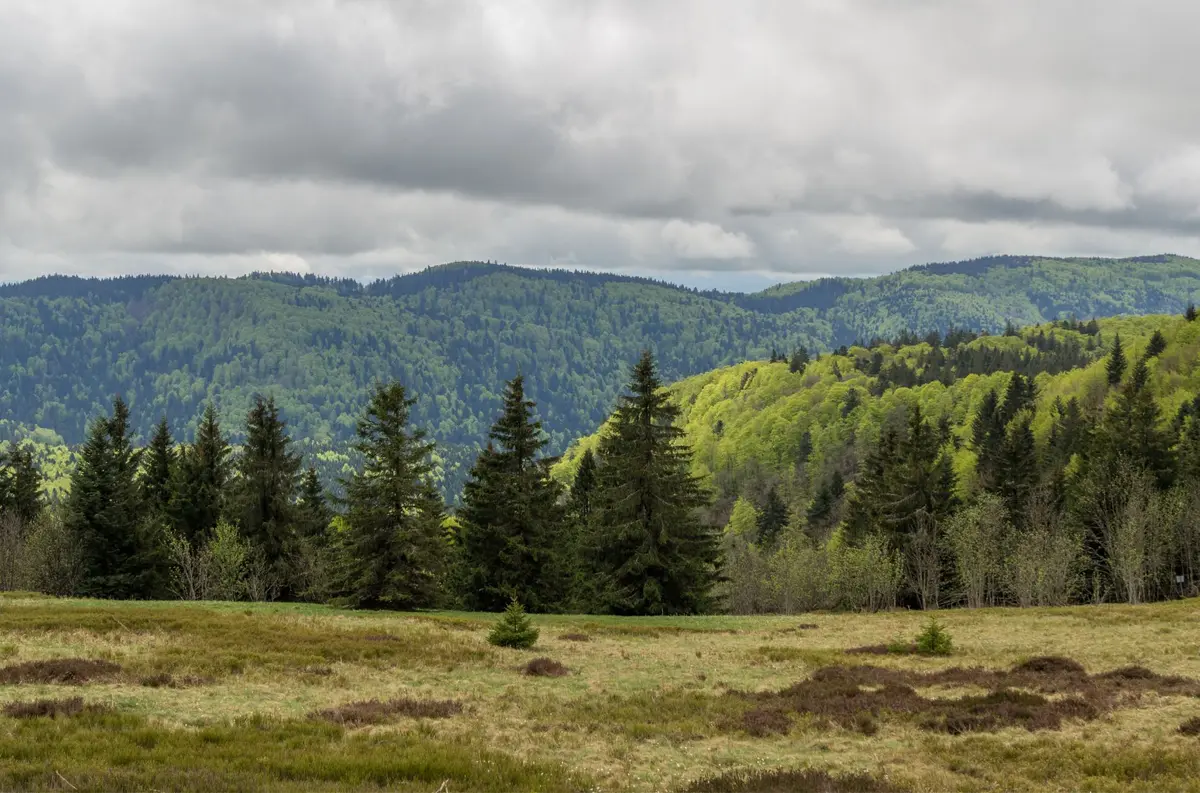 Les plus beaux endroits d’Alsace pour un séjour 100% détente