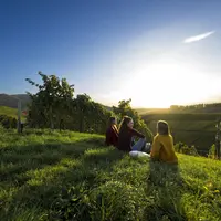 La Route des Vins de Bade - Badische Weinstraße Durbach &copy;  Schwarzwald Tourismus