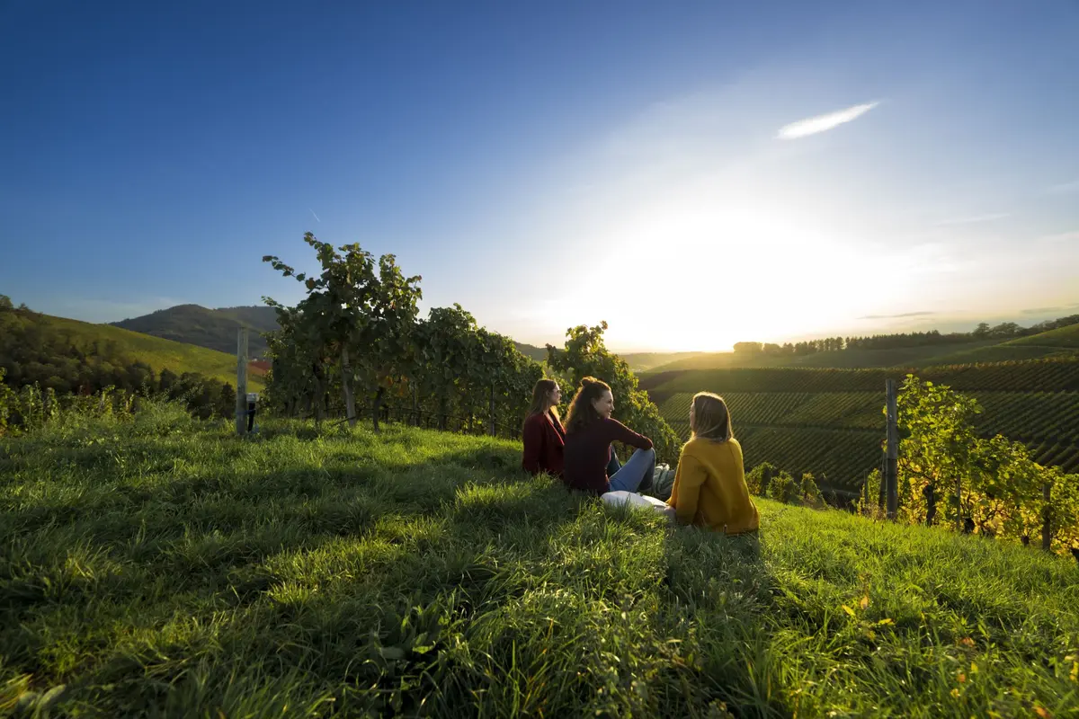 La Route des Vins de Bade - Badische Weinstraße Durbach