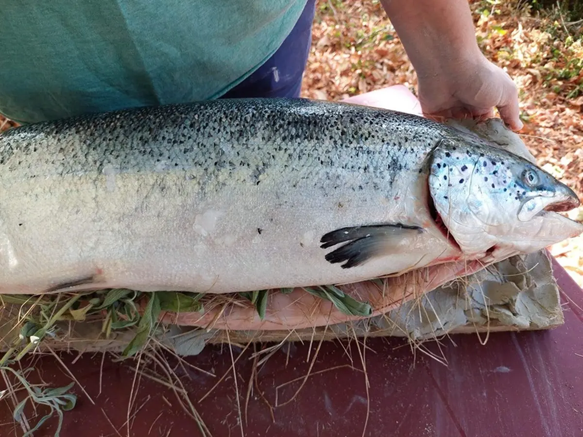 Les préhistoriales de la Roque Saint-Christophe pour le week-end de l'ascension !