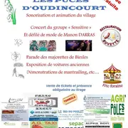 Les puces d'Oudincourt