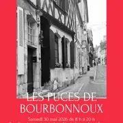 Les puces de Bourbonnoux