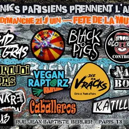 Les Punks Parisiens prennent l'air - 4