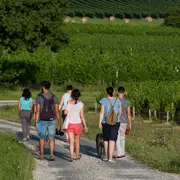 Les Rando-Tapas du Château Boutinet à Villegouge