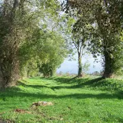 Les randonnées automnales 2025