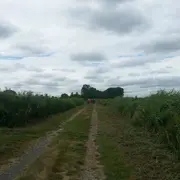 Les randonnées hivernales 2026