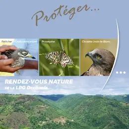 Les rapaces de la haute vallée du Tarn - LPO Aveyron
