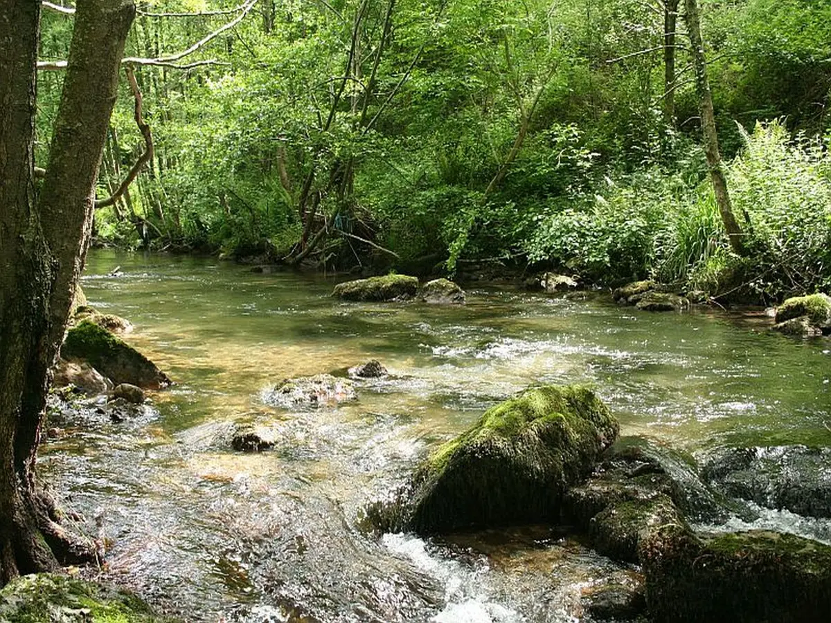 Les rdv nature : WE camp de prospection odonates