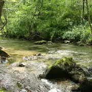 Les rdv nature : WE camp de prospection odonates