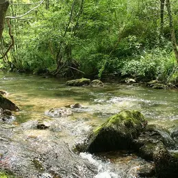 Les rdv nature : WE camp de prospection odonates