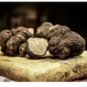 Les rencontres de la trufficulture - 28 janvier 2026 - Sorges et Ligueux en Périgord