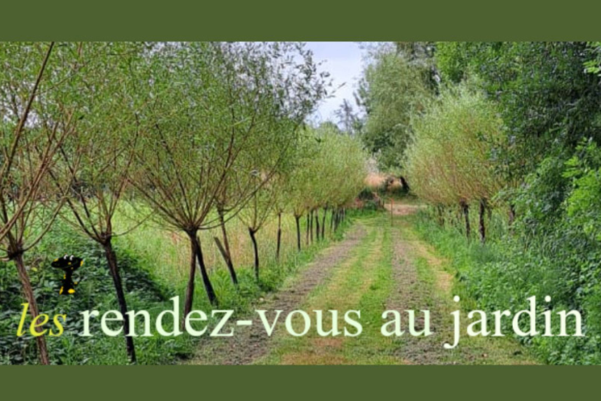 Les rendez-vous au jardin de Sally