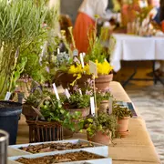 Les Rendez-vous aux Jardins