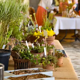 Les Rendez-vous aux Jardins