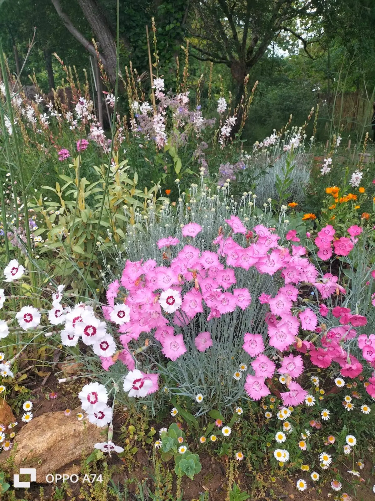 Les Rendez-vous aux Jardins: le jardin des Folioles à Prayssac
