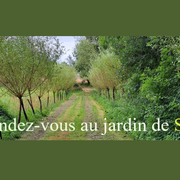 Les Rendez-vous de Sally