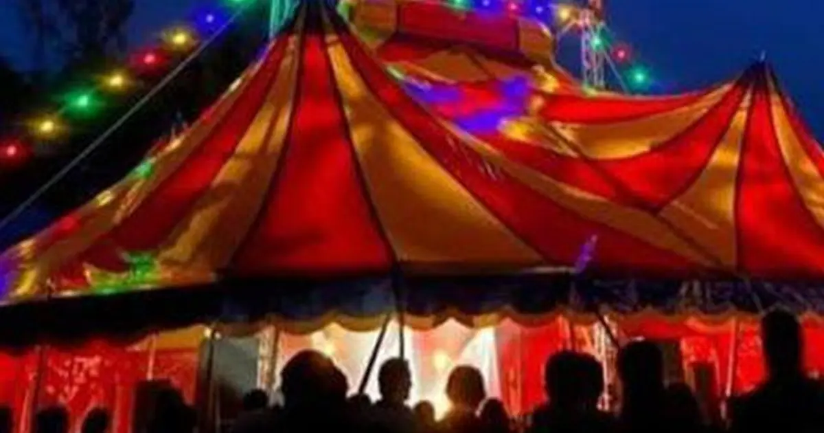 Les rendez-vous du cirque