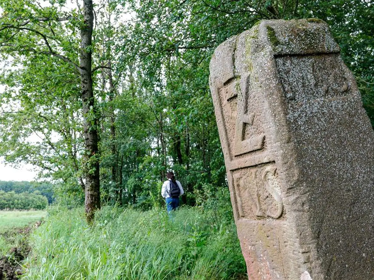 Les Rendez-vous Nature - A la découverte du Langenberg