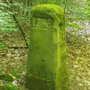 Les Rendez-vous Nature - Découverte de la forêt de Zetting