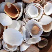 Les Rendez-vous Nature en famille : Construction d'un mobile végétal au Jardin Bourian