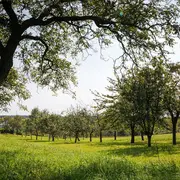 Les Rendez-vous Nature - Le Chemin des Fruitiers