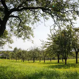 Les Rendez-vous Nature - Le Chemin des Fruitiers