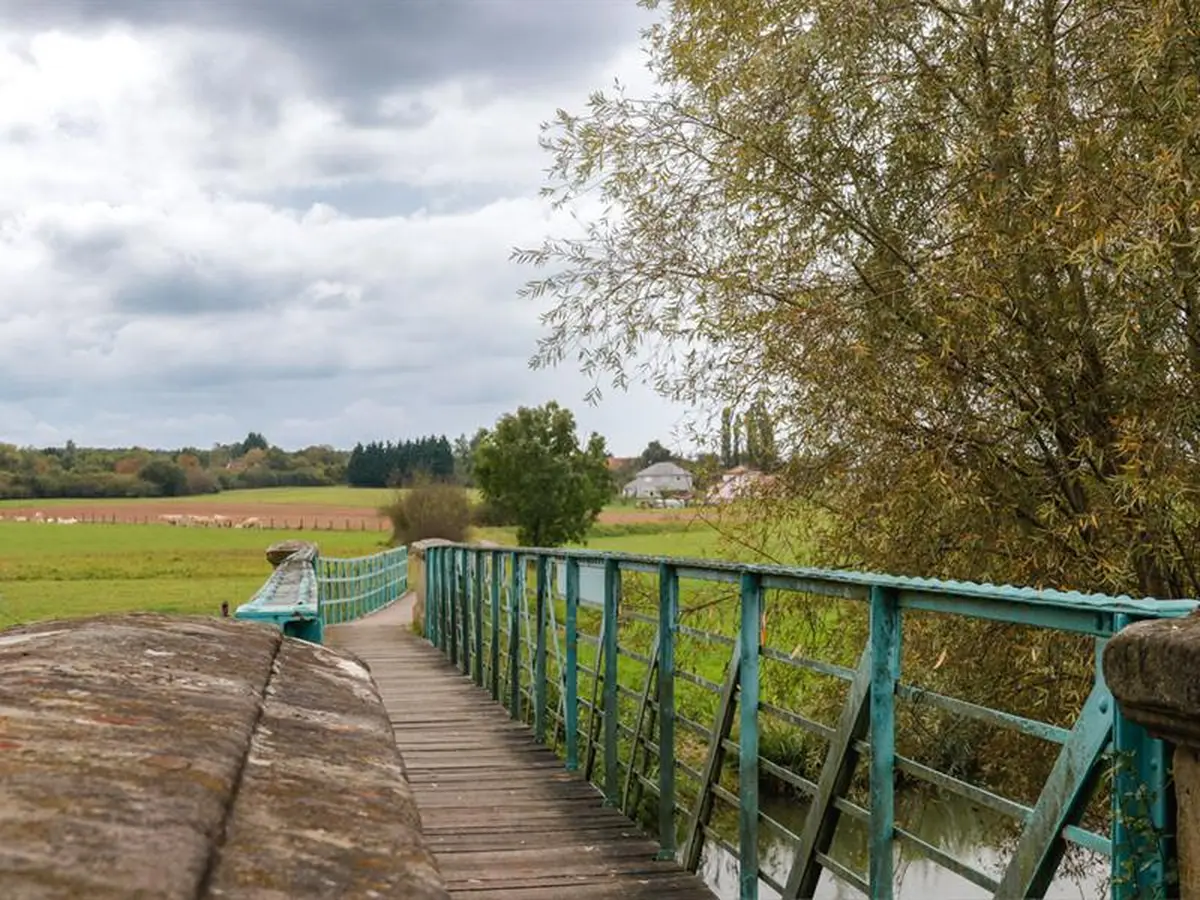 Les Rendez-vous Nature - Merveilles naturelles du marais